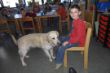 Schulhund_29.jpg