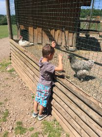 Tierpark Freisen21.jpg